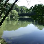 Nocleg ze śniadaniem Sebesviz Panzio Repashuta