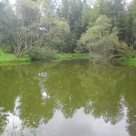 Sebesvi­z Panzió