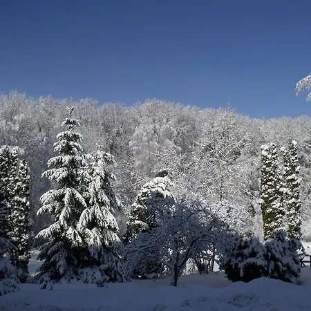 Sebesvi­z Panzió Panzió Répáshuta