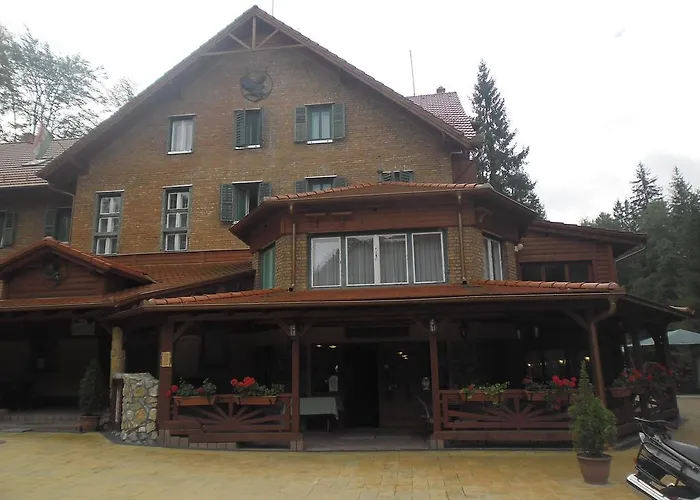 Sebesviz Panzio B&B Repashuta